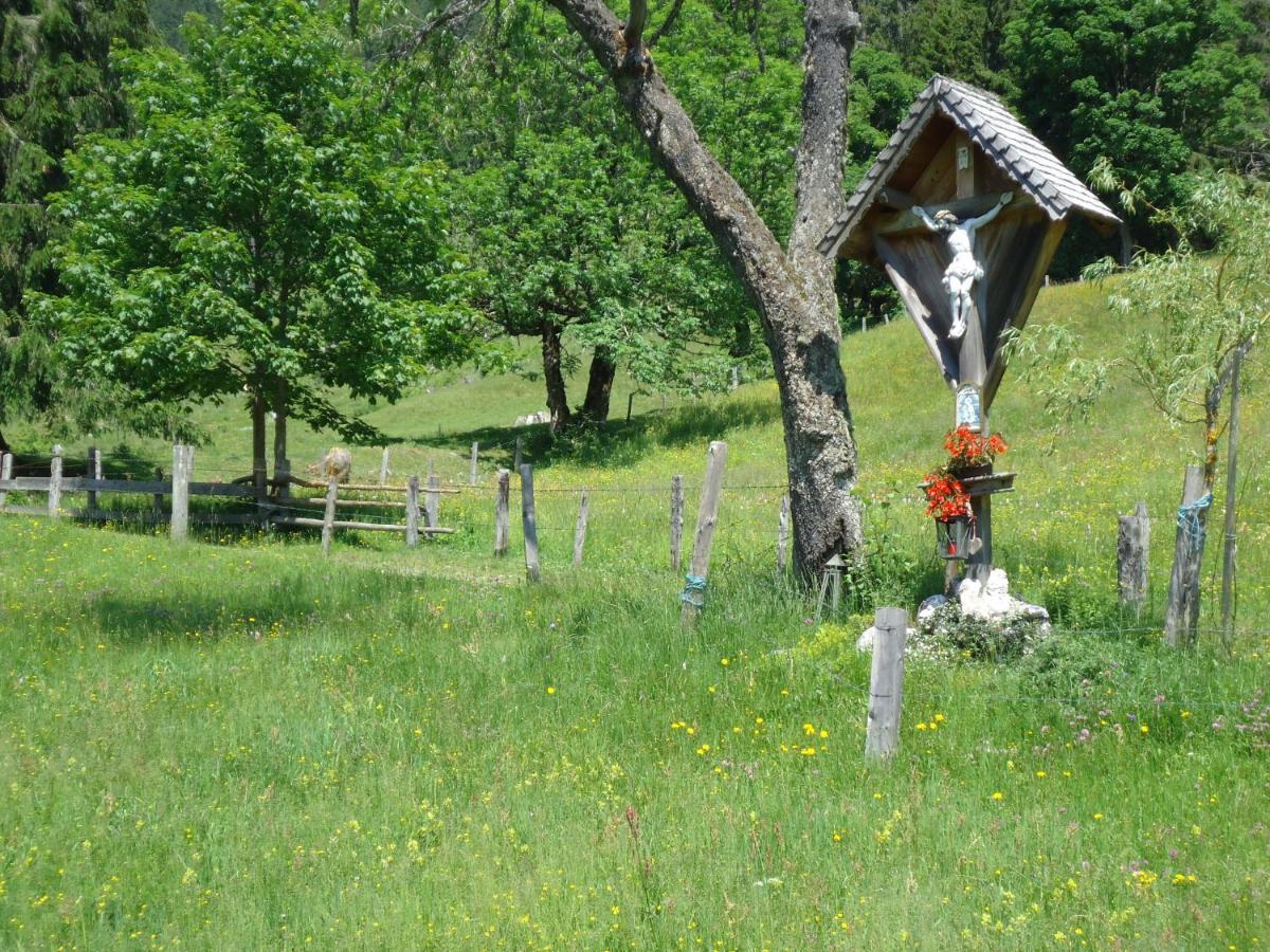 Gsenghof Villa Filzmoos Buitenkant foto