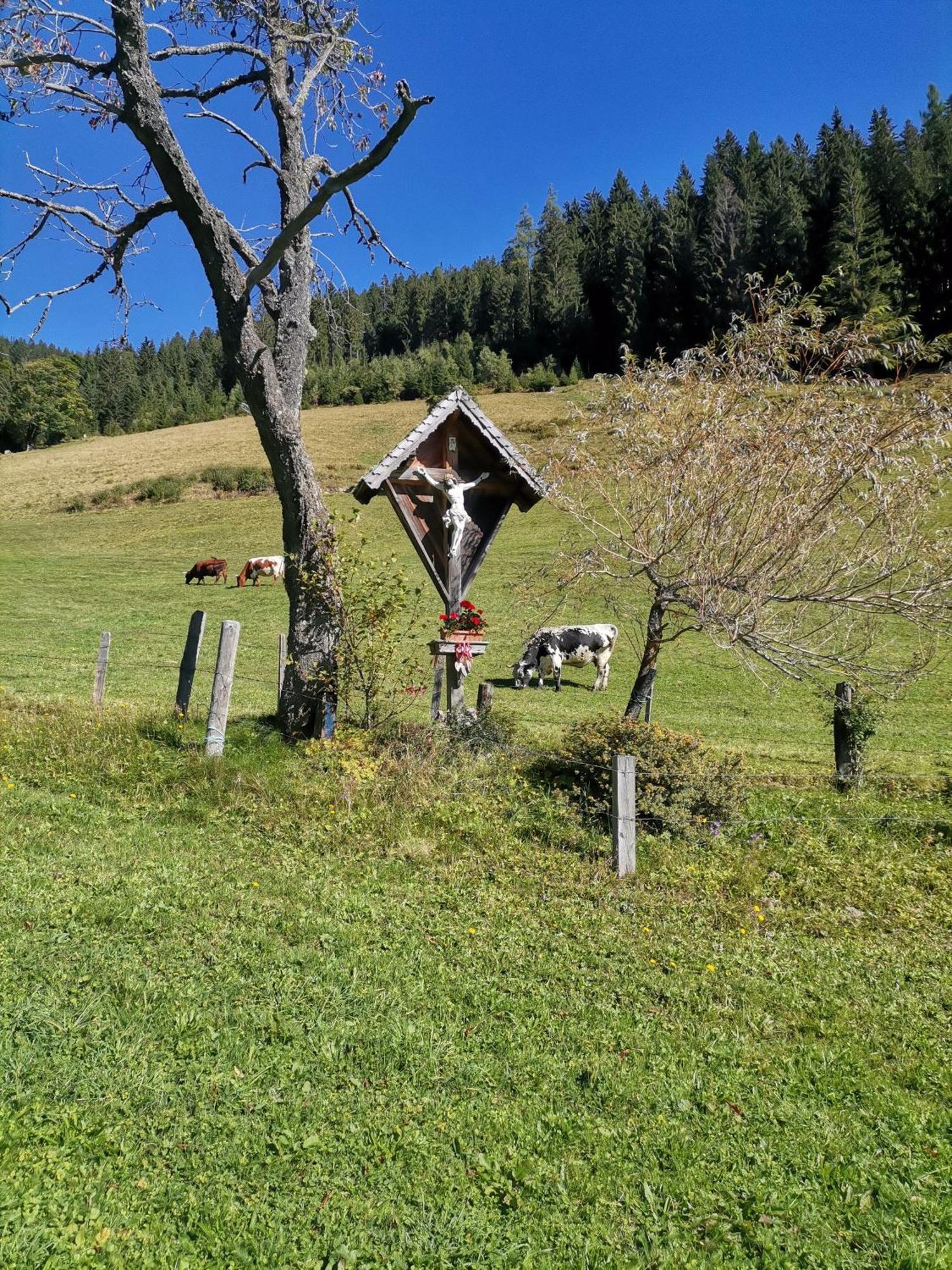 Gsenghof Villa Filzmoos Buitenkant foto